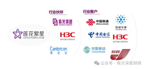 從調味品到AI新勢力 蓮花控股業績領跑同行，科技版圖再落信息技術咨詢服務關鍵一子